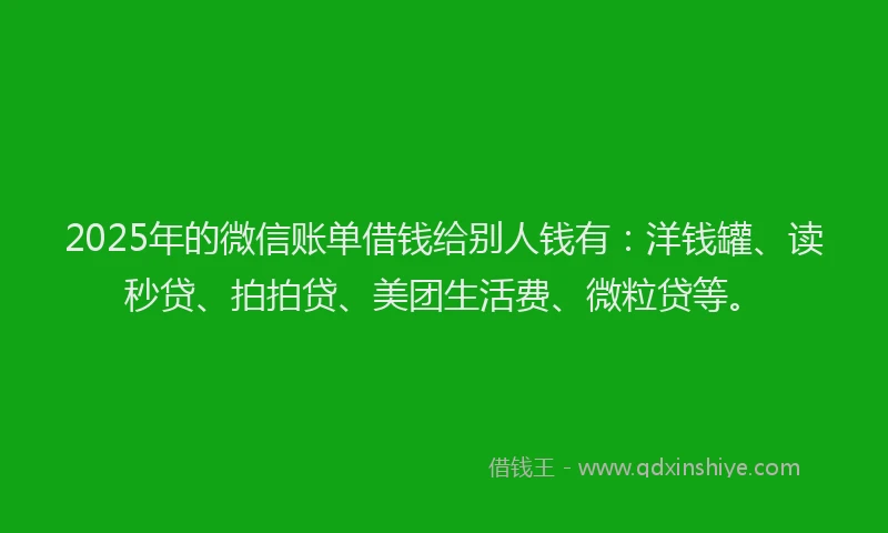 2025年的微信账单借钱给别人钱有：洋钱罐、读秒贷、拍拍贷、美团生活费、微粒贷等。
