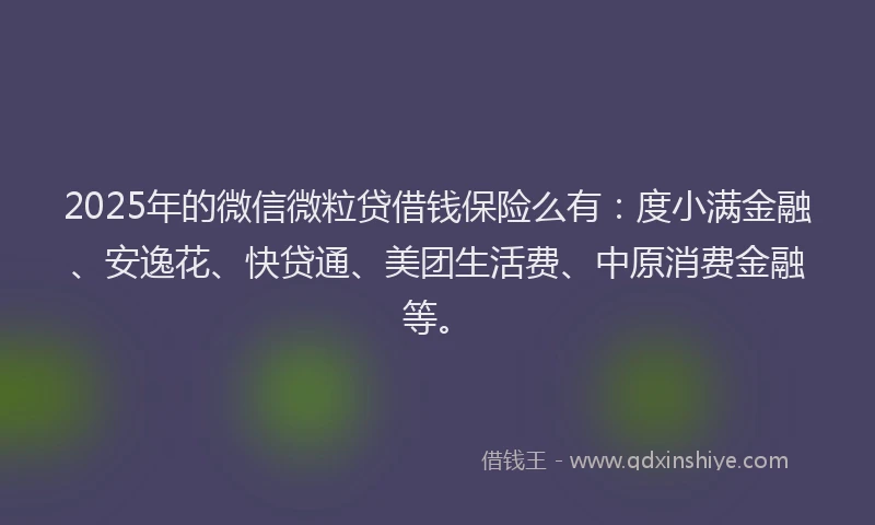 2025年的微信微粒贷借钱保险么有：度小满金融、安逸花、快贷通、美团生活费、中原消费金融等。