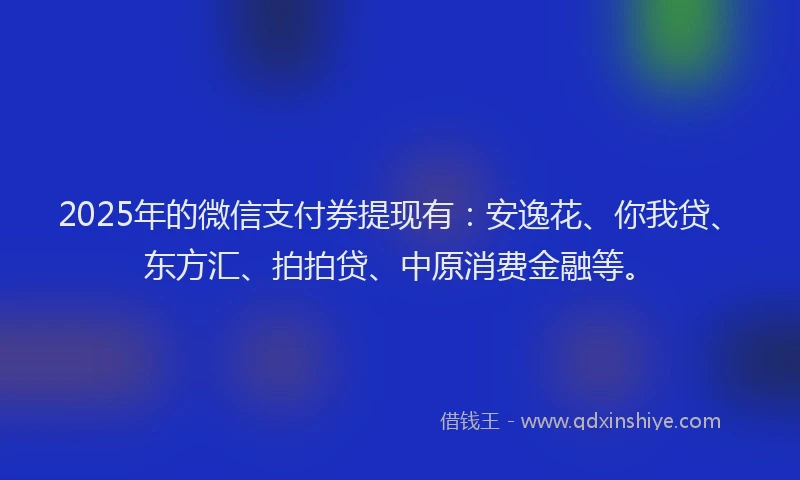 2025年的微信支付券提现有：安逸花、你我贷、东方汇、拍拍贷、中原消费金融等。