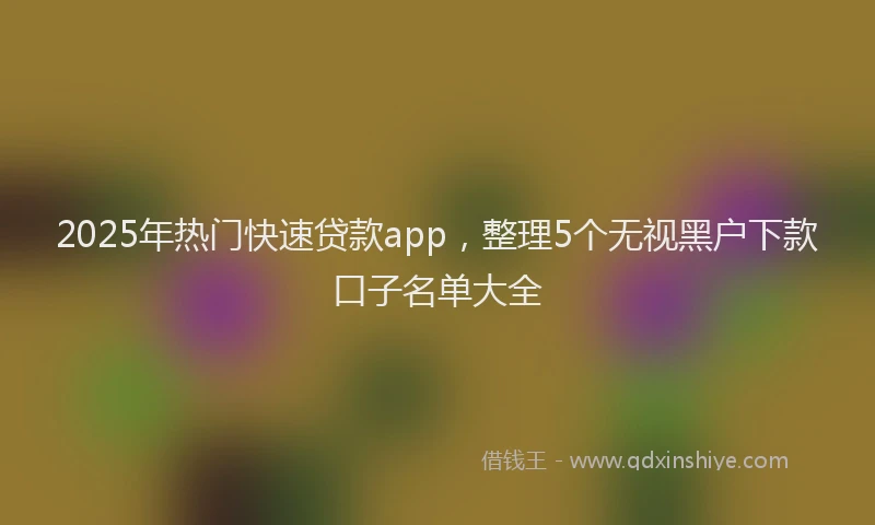 2025年热门快速贷款app，整理5个无视黑户下款口子名单大全
