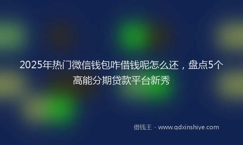 2025年热门微信钱包咋借钱呢怎么还，盘点5个高能分期贷款平台新秀