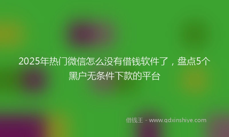 2025年热门微信怎么没有借钱软件了，盘点5个黑户无条件下款的平台