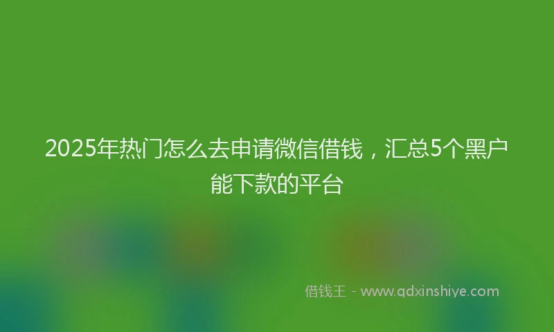 2025年热门怎么去申请微信借钱，汇总5个黑户能下款的平台
