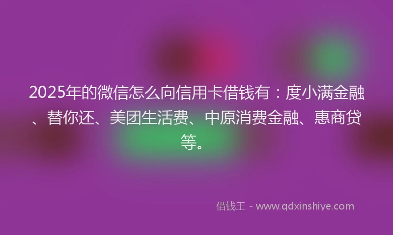 2025年的微信怎么向信用卡借钱有：度小满金融、替你还、美团生活费、中原消费金融、惠商贷等。