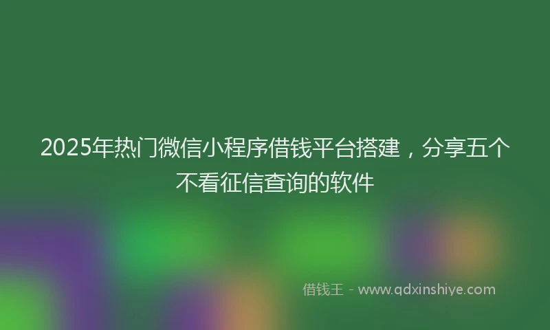 2025年热门微信小程序借钱平台搭建，分享五个不看征信查询的软件
