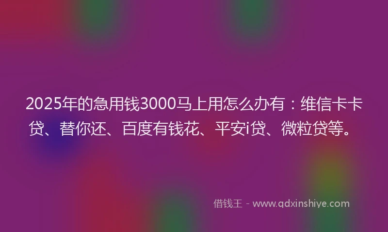 2025年的急用钱3000马上用怎么办有：维信卡卡贷、替你还、百度有钱花、平安i贷、微粒贷等。