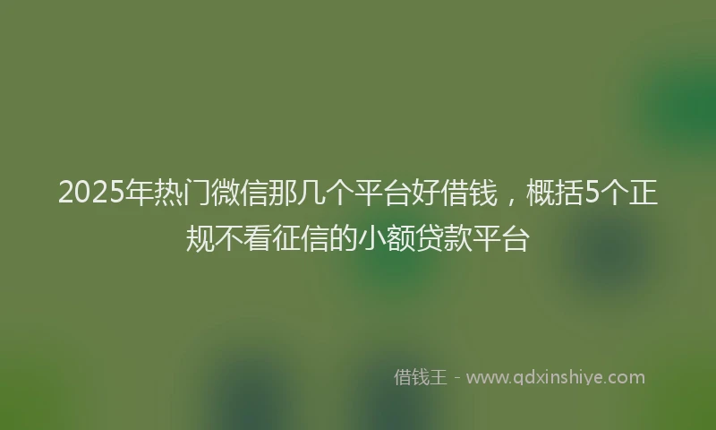 2025年热门微信那几个平台好借钱，概括5个正规不看征信的小额贷款平台