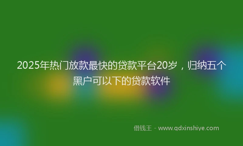 2025年热门放款最快的贷款平台20岁，归纳五个黑户可以下的贷款软件