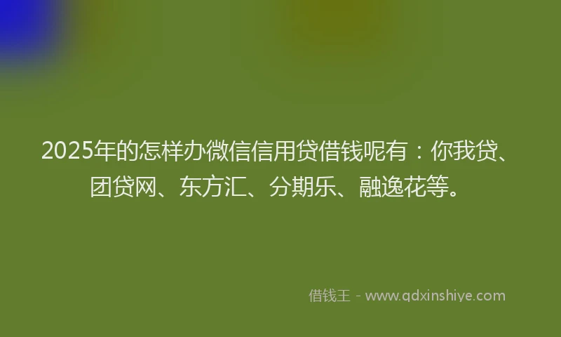 2025年的怎样办微信信用贷借钱呢有：你我贷、团贷网、东方汇、分期乐、融逸花等。
