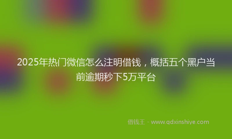 2025年热门微信怎么注明借钱，概括五个黑户当前逾期秒下5万平台