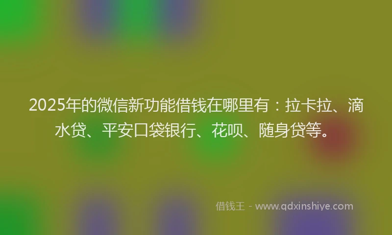 2025年的微信新功能借钱在哪里有：拉卡拉、滴水贷、平安口袋银行、花呗、随身贷等。