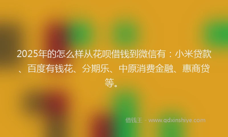 2025年的怎么样从花呗借钱到微信有：小米贷款、百度有钱花、分期乐、中原消费金融、惠商贷等。