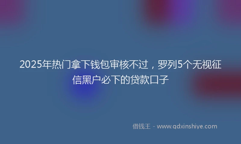2025年热门拿下钱包审核不过，罗列5个无视征信黑户必下的贷款口子