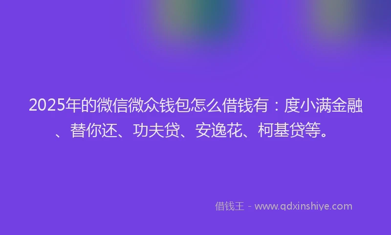 2025年的微信微众钱包怎么借钱有：度小满金融、替你还、功夫贷、安逸花、柯基贷等。