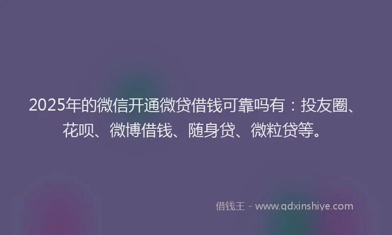 2025年的微信开通微贷借钱可靠吗有：投友圈、花呗、微博借钱、随身贷、微粒贷等。