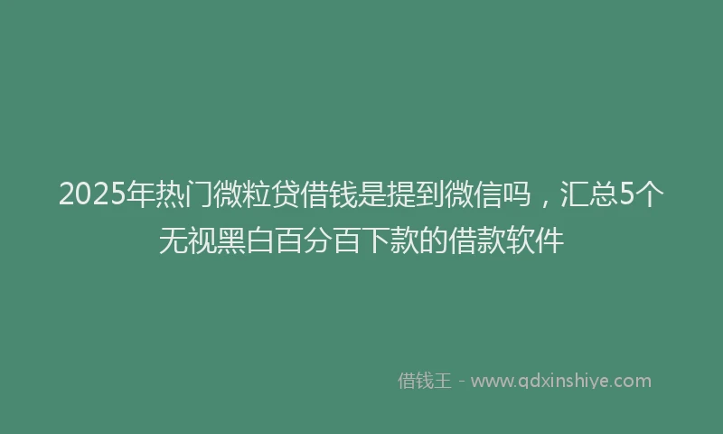 2025年热门微粒贷借钱是提到微信吗，汇总5个无视黑白百分百下款的借款软件