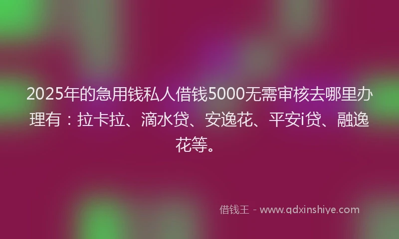 2025年的急用钱私人借钱5000无需审核去哪里办理有：拉卡拉、滴水贷、安逸花、平安i贷、融逸花等。