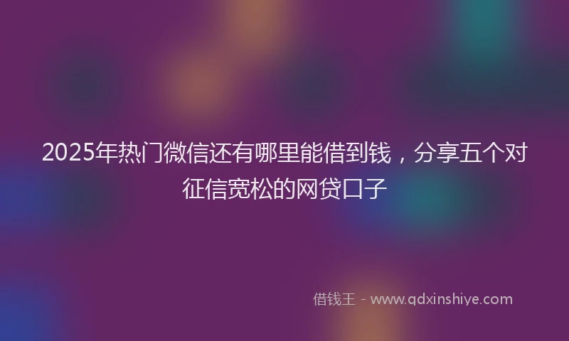 2025年热门微信还有哪里能借到钱，分享五个对征信宽松的网贷口子