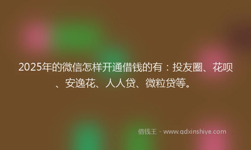 2025年的微信怎样开通借钱的有：投友圈、花呗、安逸花、人人贷、微粒贷等。