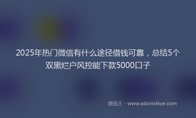 2025年热门微信有什么途径借钱可靠，总结5个双黑烂户风控能下款5000口子