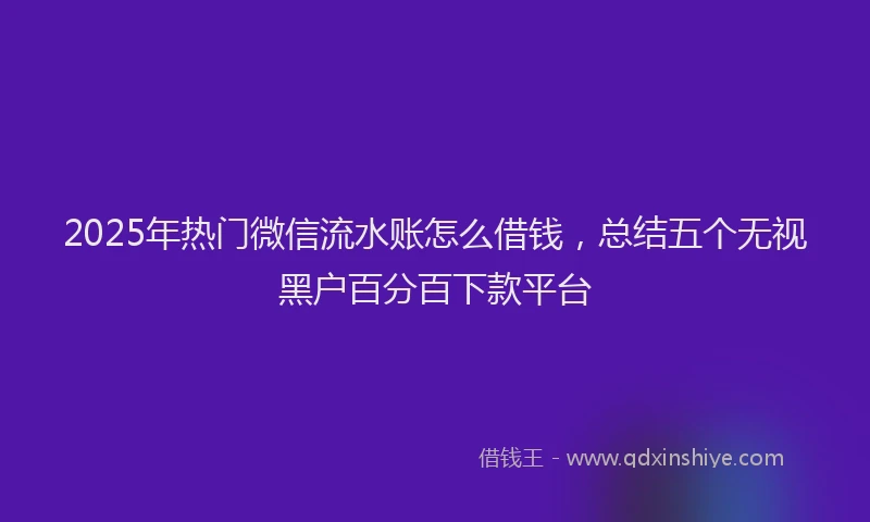 2025年热门微信流水账怎么借钱，总结五个无视黑户百分百下款平台