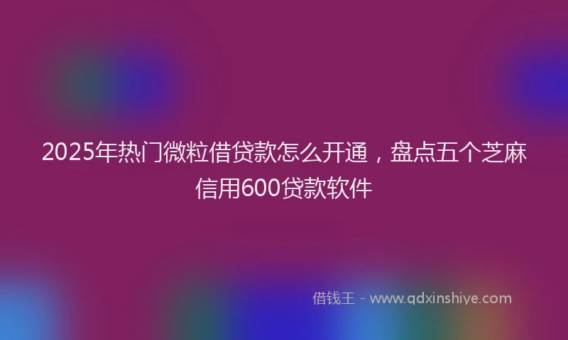 2025年热门微粒借贷款怎么开通，盘点五个芝麻信用600贷款软件