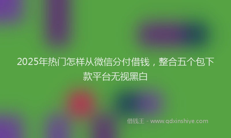 2025年热门怎样从微信分付借钱，整合五个包下款平台无视黑白