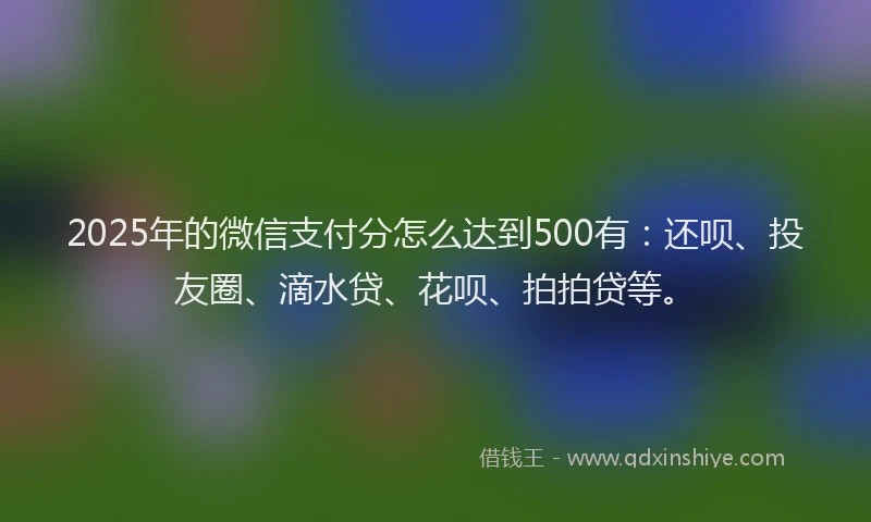 2025年的微信支付分怎么达到500有：还呗、投友圈、滴水贷、花呗、拍拍贷等。