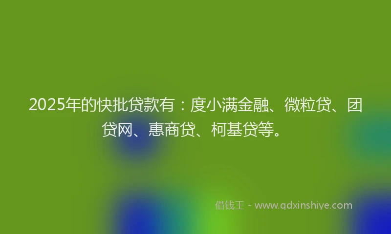 2025年的快批贷款有：度小满金融、微粒贷、团贷网、惠商贷、柯基贷等。