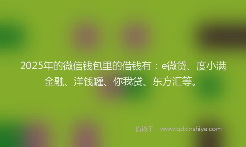 2025年的微信钱包里的借钱有：e微贷、度小满金融、洋钱罐、你我贷、东方汇等。