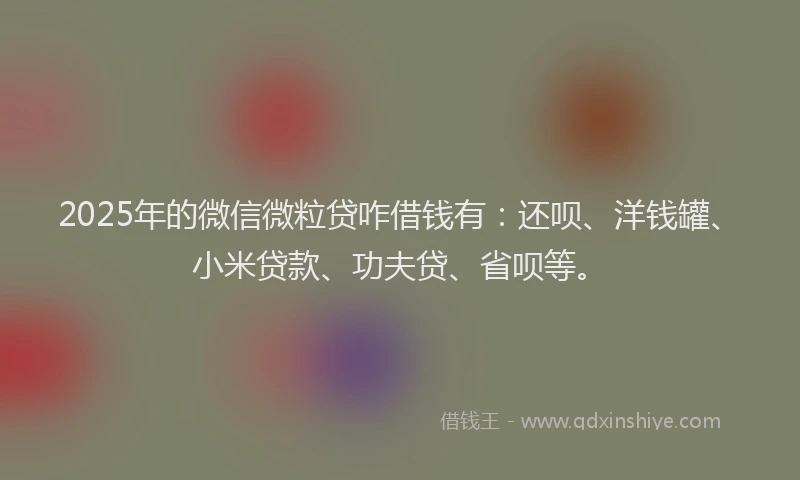 2025年的微信微粒贷咋借钱有：还呗、洋钱罐、小米贷款、功夫贷、省呗等。