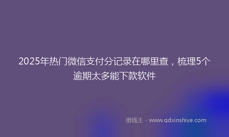 2025年热门微信支付分记录在哪里查，梳理5个逾期太多能下款软件