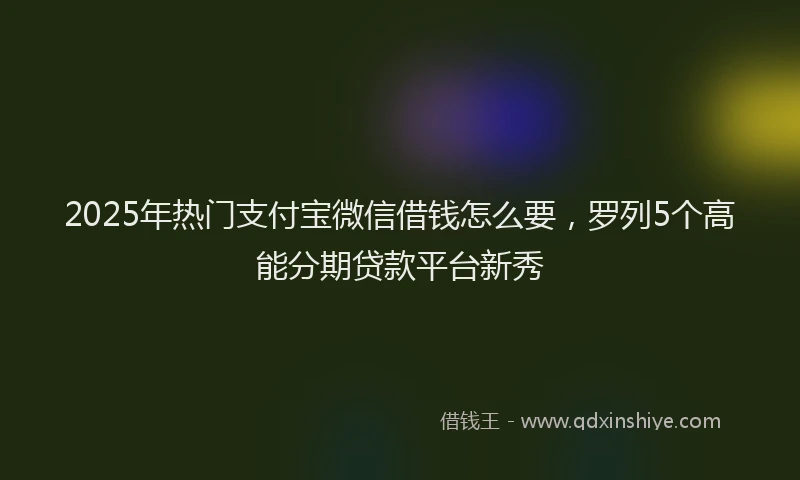 2025年热门支付宝微信借钱怎么要，罗列5个高能分期贷款平台新秀