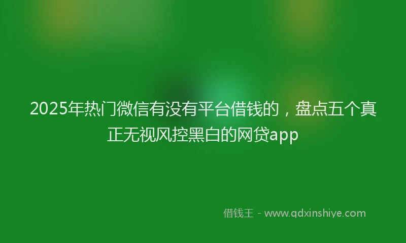 2025年热门微信有没有平台借钱的，盘点五个真正无视风控黑白的网贷app