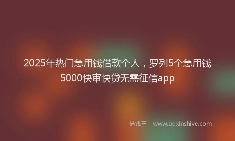 2025年热门急用钱借款个人，罗列5个急用钱5000快审快贷无需征信app