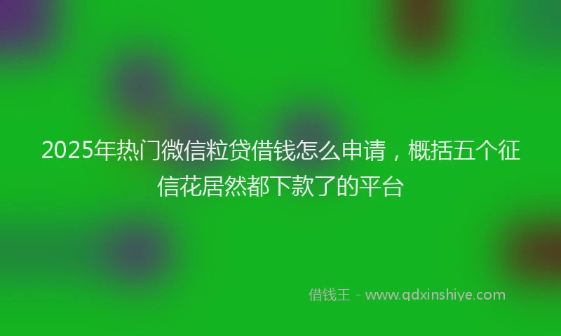 2025年热门微信粒贷借钱怎么申请，概括五个征信花居然都下款了的平台