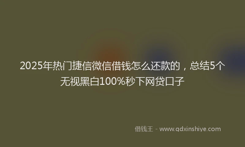 2025年热门捷信微信借钱怎么还款的，总结5个无视黑白100%秒下网贷口子