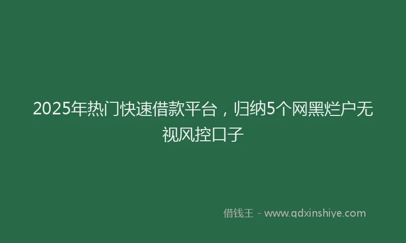 2025年热门快速借款平台，归纳5个网黑烂户无视风控口子