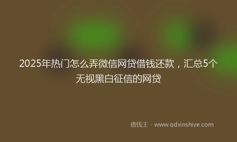 2025年热门怎么弄微信网贷借钱还款，汇总5个无视黑白征信的网贷