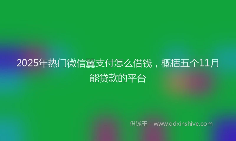 2025年热门微信翼支付怎么借钱，概括五个11月能贷款的平台