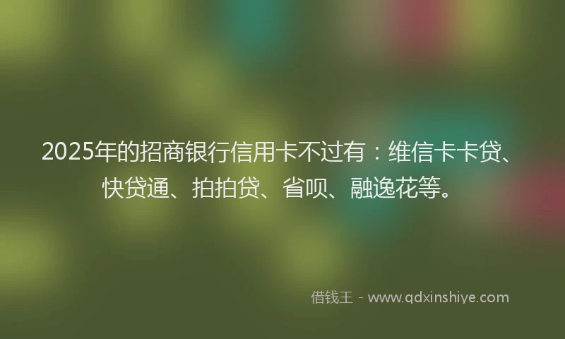 2025年的招商银行信用卡不过有：维信卡卡贷、快贷通、拍拍贷、省呗、融逸花等。