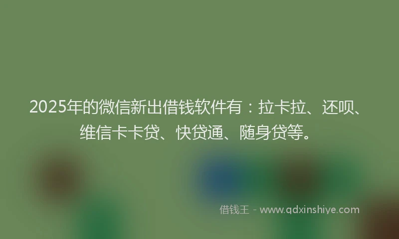 2025年的微信新出借钱软件有：拉卡拉、还呗、维信卡卡贷、快贷通、随身贷等。