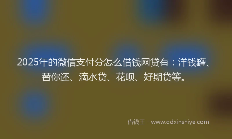 2025年的微信支付分怎么借钱网贷有：洋钱罐、替你还、滴水贷、花呗、好期贷等。