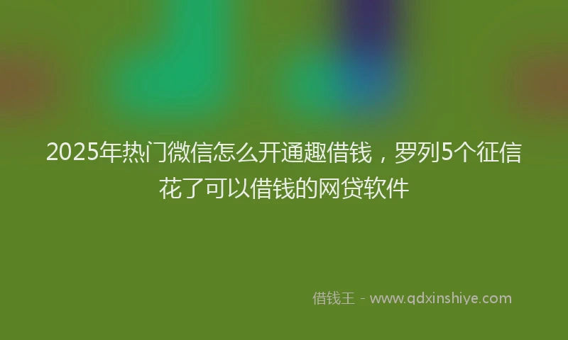2025年热门微信怎么开通趣借钱，罗列5个征信花了可以借钱的网贷软件