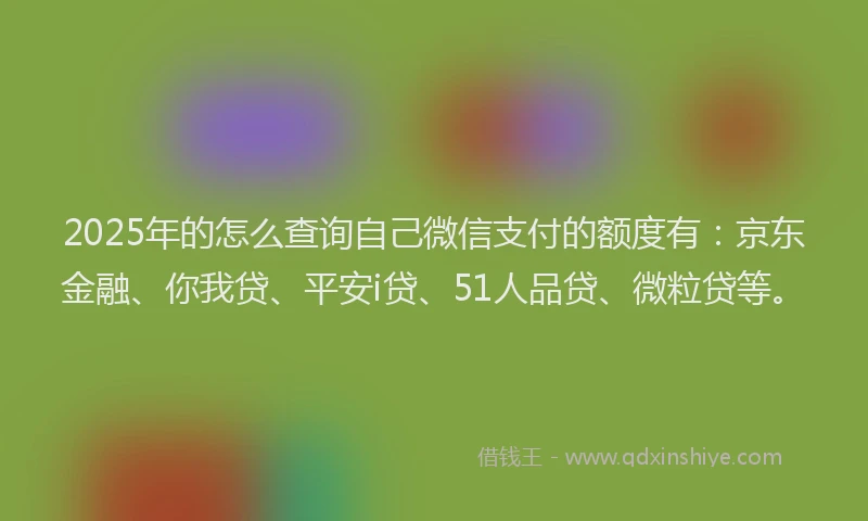 2025年的怎么查询自己微信支付的额度有：京东金融、你我贷、平安i贷、51人品贷、微粒贷等。