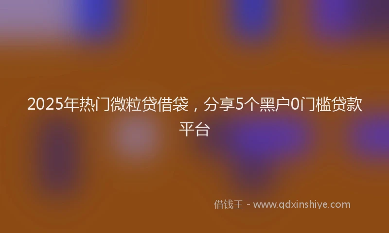 2025年热门微粒贷借袋，分享5个黑户0门槛贷款平台