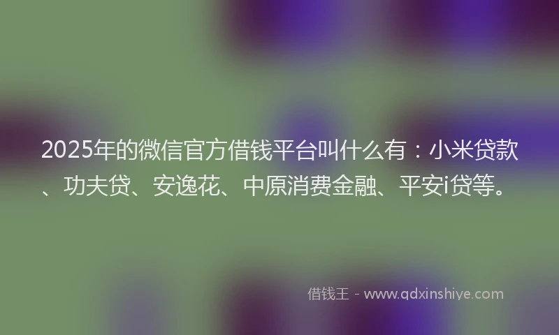 2025年的微信官方借钱平台叫什么有：小米贷款、功夫贷、安逸花、中原消费金融、平安i贷等。