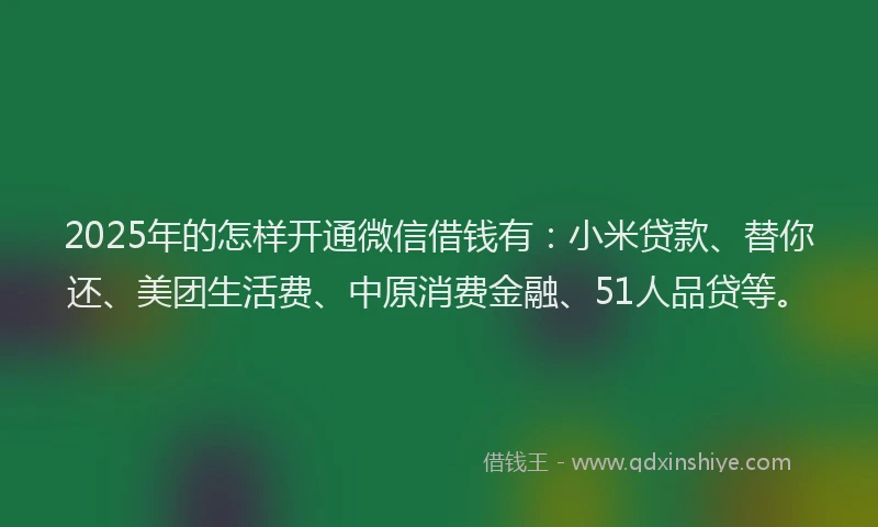 2025年的怎样开通微信借钱有：小米贷款、替你还、美团生活费、中原消费金融、51人品贷等。