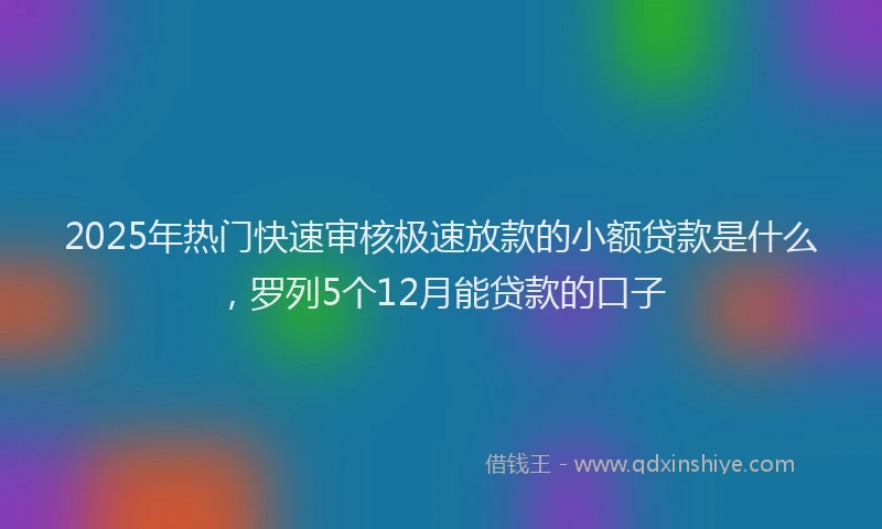 2025年热门快速审核极速放款的小额贷款是什么，罗列5个12月能贷款的口子