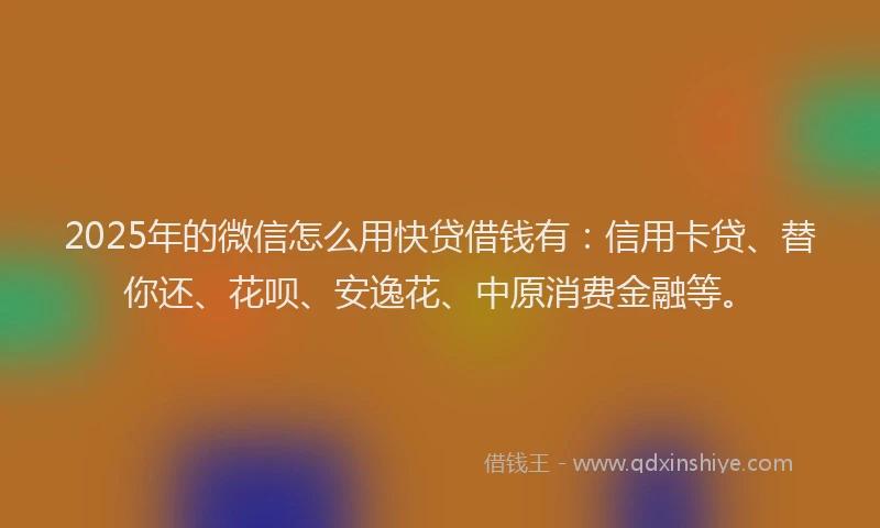2025年的微信怎么用快贷借钱有：信用卡贷、替你还、花呗、安逸花、中原消费金融等。
